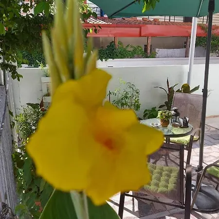 Appartement Alenstudios *