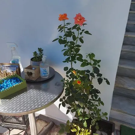 Appartement Alenstudios