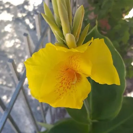 Alenstudios Appartement Paralía