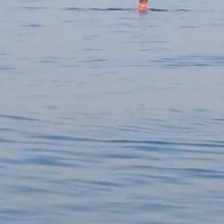 Alenstudios Paralía