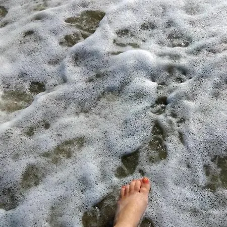 Alenstudios Paralía