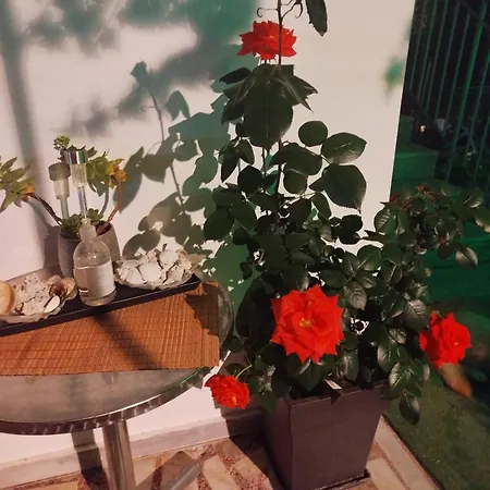 Apartman Alenstudios *