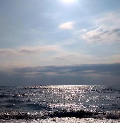 Alenstudios * Paralía