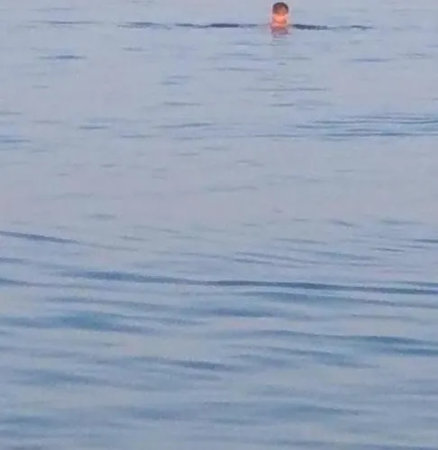 Alenstudios Paralía