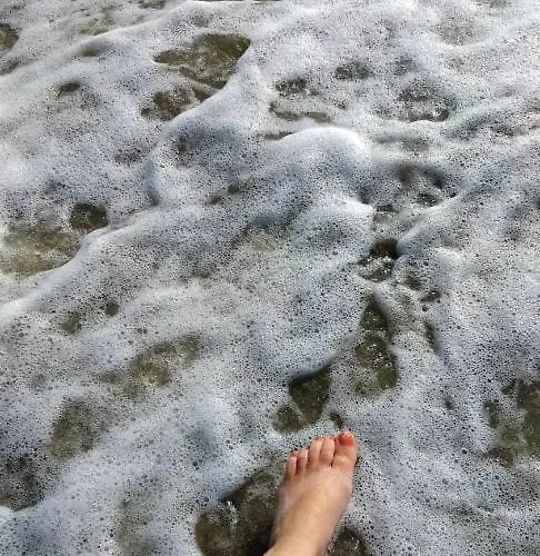 Alenstudios Paralía