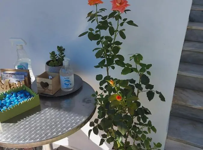 Apartamento Alenstudios