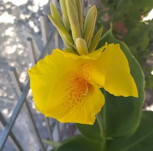 Alenstudios Apartamento Paralía