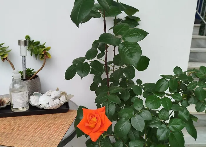 Apartamento Alenstudios *